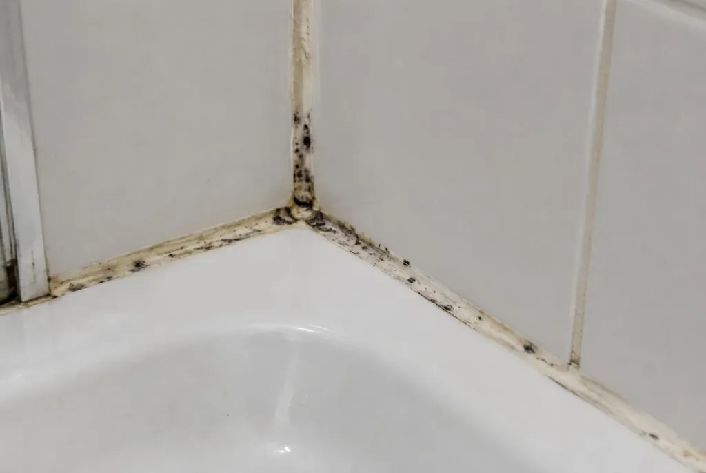 Kitbedrijf Velp – beschimmelde kitranden